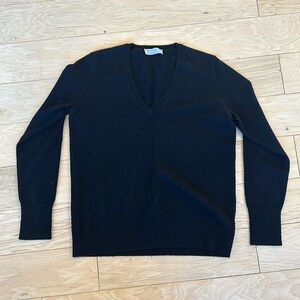 Everlane cashmere v neck sweater